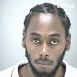 Meet your Posher, Torrey